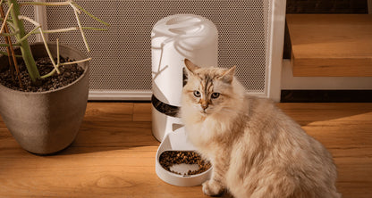 PETLIBRO Automatic Cat Feeder with Camera