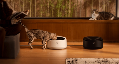 PETLIBRO Polar Automatic Cat Feeder