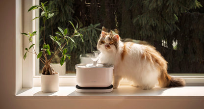 PETLIBRO Cat Water Fountain
