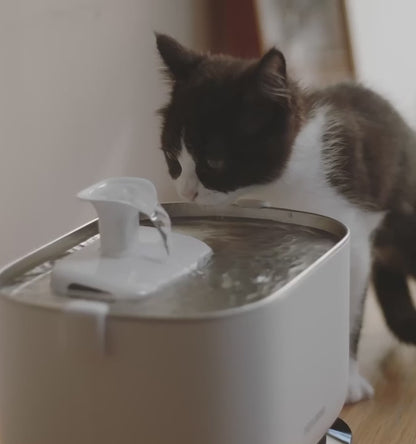 PETLIBRO Cat Water Fountain